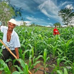 agro