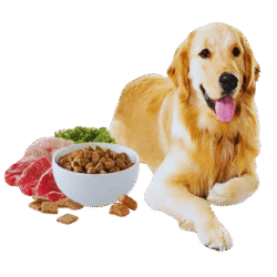 alimentos para animales